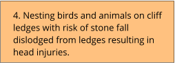 4. Nesting birds and animals on cliff ledges with risk of stone fall dislodged from ledges resulting in head injuries.