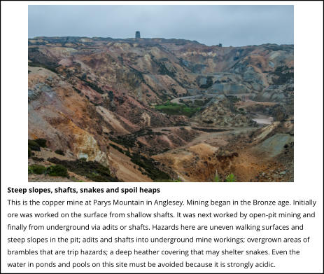 Steep slopes, shafts, snakes and spoil heaps This is the copper mine at Parys Mountain in Anglesey. Mining began in the Bronze age. Initially ore was worked on the surface from shallow shafts. It was next worked by open-pit mining and finally from underground via adits or shafts. Hazards here are uneven walking surfaces and steep slopes in the pit; adits and shafts into underground mine workings; overgrown areas of brambles that are trip hazards; a deep heather covering that may shelter snakes. Even the water in ponds and pools on this site must be avoided because it is strongly acidic.