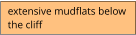 extensive mudflats below  the cliff