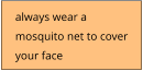always wear a mosquito net to cover your face