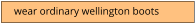 wear ordinary wellington boots