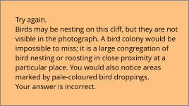 Try again.  Birds may be nesting on this cliff, but they are not  visible in the photograph. A bird colony would be  impossible to miss; it is a large congregation of  bird nesting or roosting in close proximity at a  particular place. You would also notice areas  marked by pale-coloured bird droppings.  Your answer is incorrect.