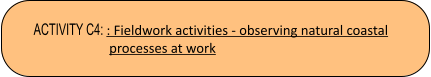 ACTIVITY C4: : Fieldwork activities - observing natural coastal  processes at work