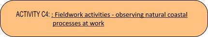 ACTIVITY C4: : Fieldwork activities - observing natural coastal  processes at work